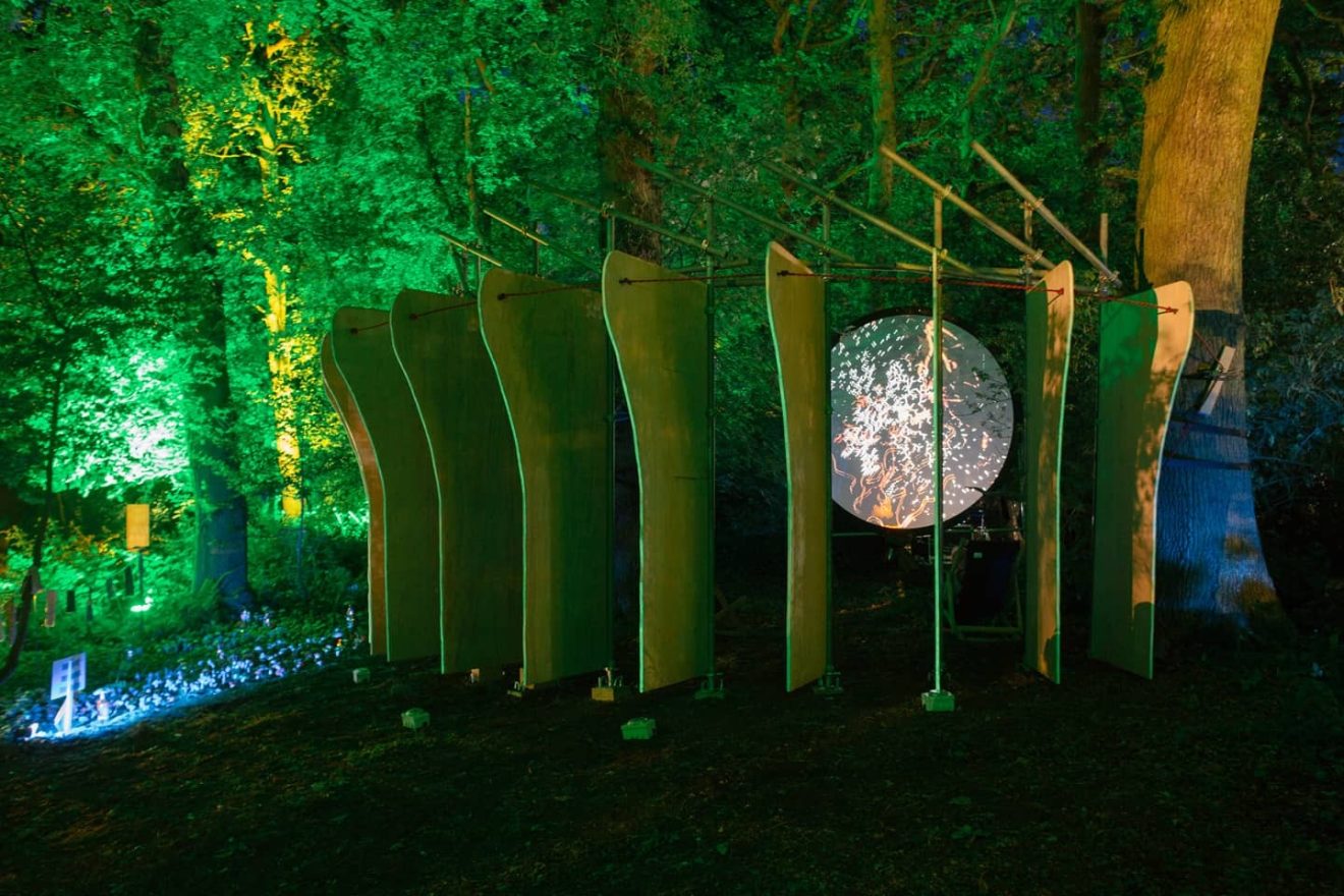The Underneath by Youth Landscapers Collective at Timber Festival 2022. Photo by David Severn.